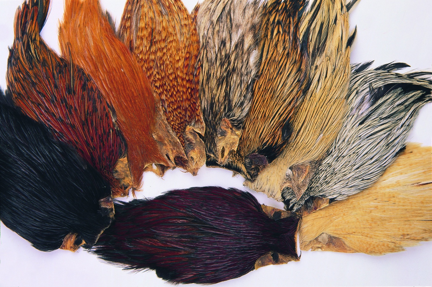 Veniard Indian Cock Feather Cape (Feathers) Red Brown Fly Tying Materials